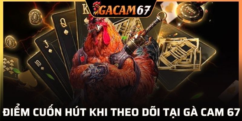 4 lợi ích cực hấp dẫn khi tham gia cược gà