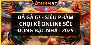 đá gà 67