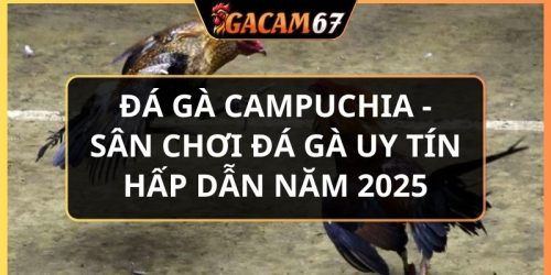 đá gà campuchia