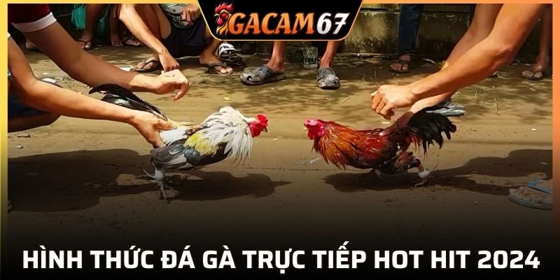 Giới thiệu hình thức đá hot nhất hiện tại