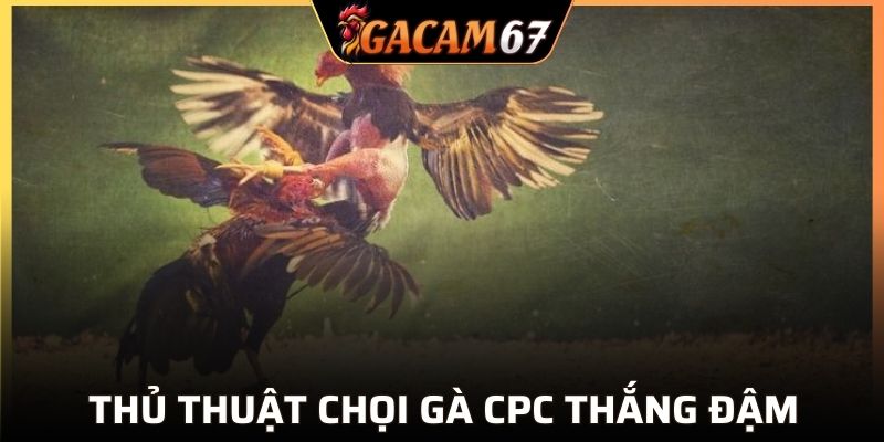 Nắm chắc bảng kèo nhận ngay thưởng lớn