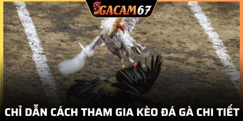Nắm rõ 3 bước tham gia và các mẹo hiệu quả