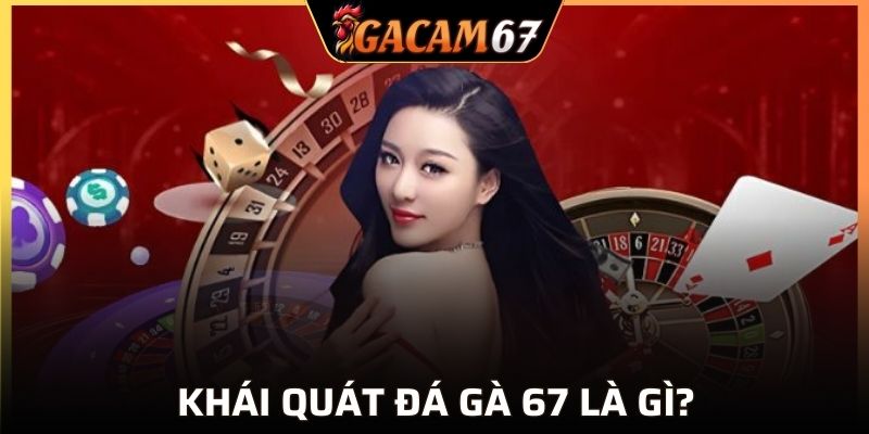 Sơ lược về bộ môn đá gà 67 hot hit