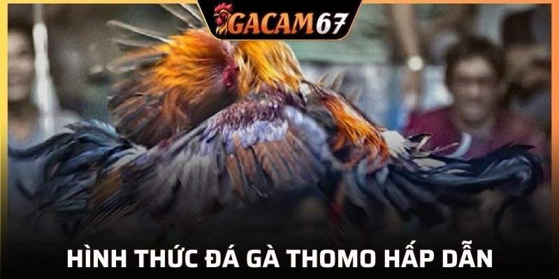 Nhiều hình thức kê chiến hấp dẫn