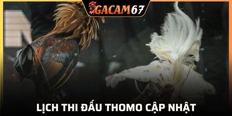 Lịch Thomo hôm nay cập nhật liên tục