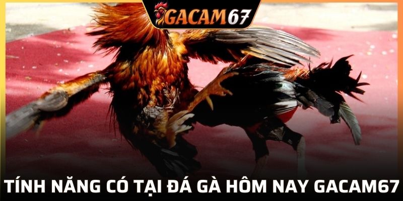 Tính năng có tại đá gà hôm nay GACAM67