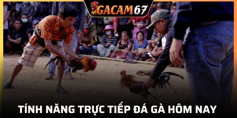 Tính năng trực tiếp đá gà hôm nay GACAM67