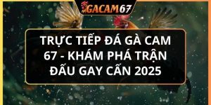 trực tiếp đá gà cam 67