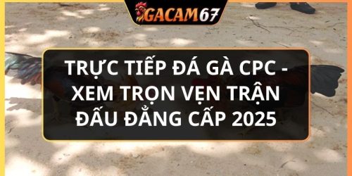 trực tiếp đá gà CPC