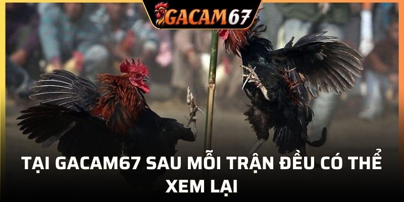 Tại GACAM67 sau mỗi trận đều có thể xem lại